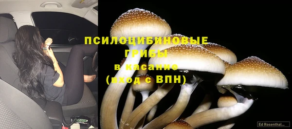 хмурый Алексеевка