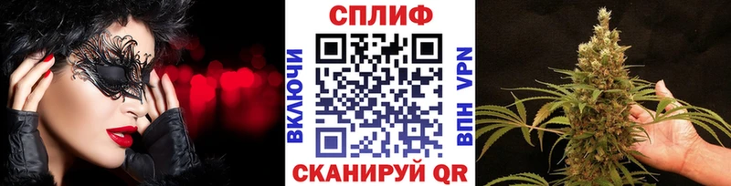 МЕГА онион купить закладку Камешково Бошки марихуана сатива